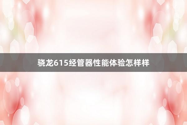 骁龙615经管器性能体验怎样样